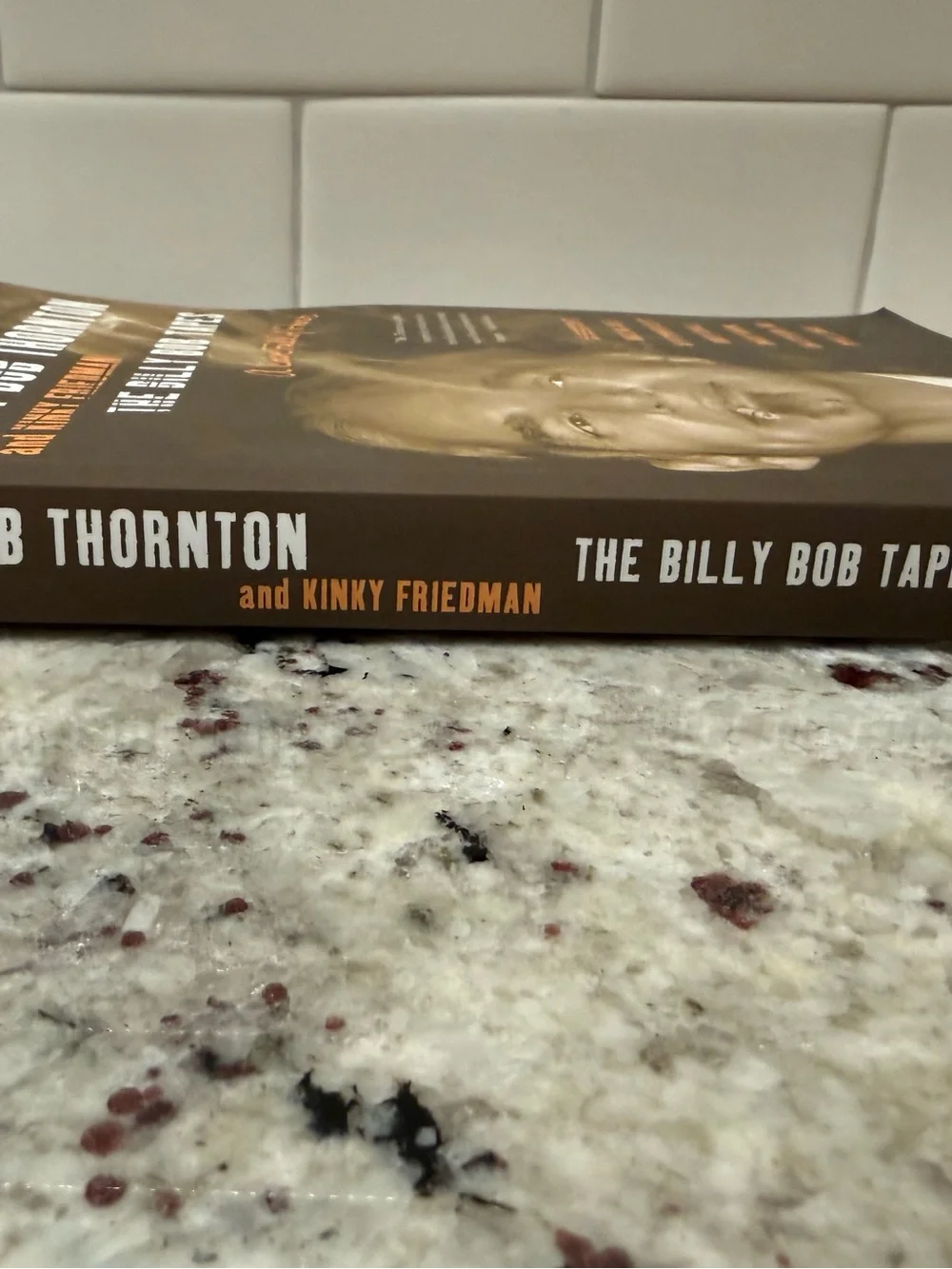 The Billy Bob Tapes by Billy Bob Thornton — Paperback Book NEW!